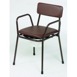 Fauteuil de toilettes Eco